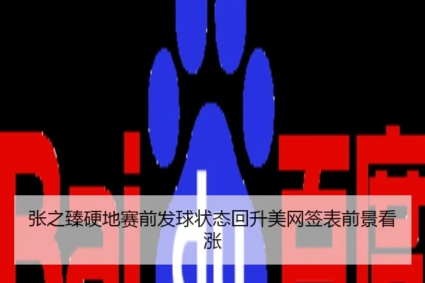 张之臻硬地赛前发球状态回升美网签表前景看涨