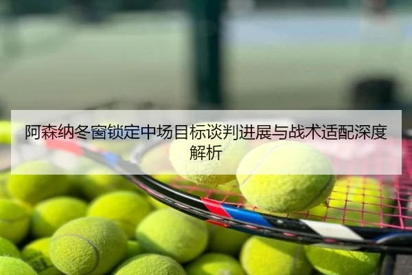 阿森纳冬窗锁定中场目标谈判进展与战术适配深度解析